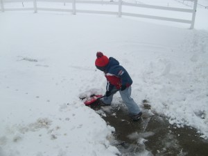 ...or the challenges we face.