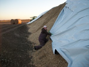 My husband's comment when I asked him to take a picture of us working? "If I take the picture of you, won't they wonder why I'm not working too?"