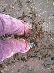 It's time we get out of the mud and focus on the bigger picture. 