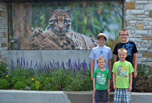 A trip to the zoo..."camels" that looked an awful lot like goats and breeding season. Stories and memories galore...did I mention Scooter opened up the window in the car wash? Yeah.