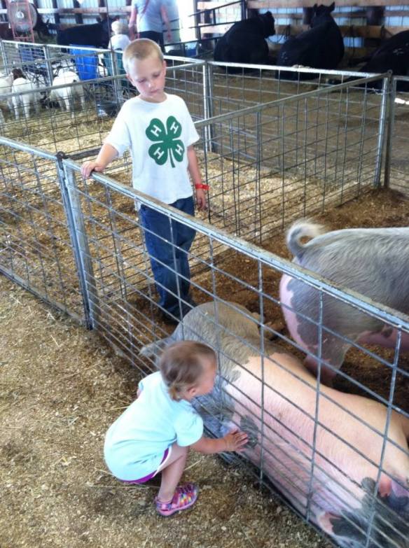 Fair time, county fair, 4-H